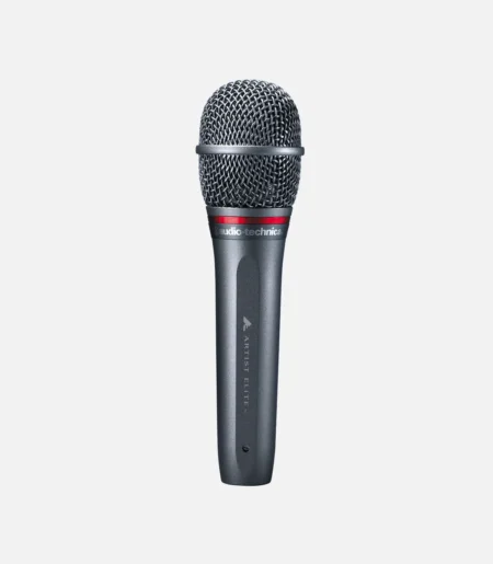 Audio-Technica AE6100